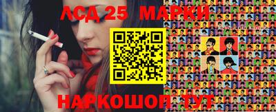 молекула духа Вышний Волочёк