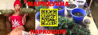 spice Владикавказ