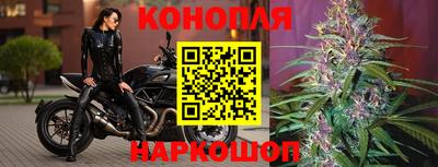 сатива Владивосток