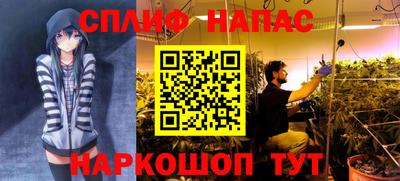 молекула духа Вышний Волочёк