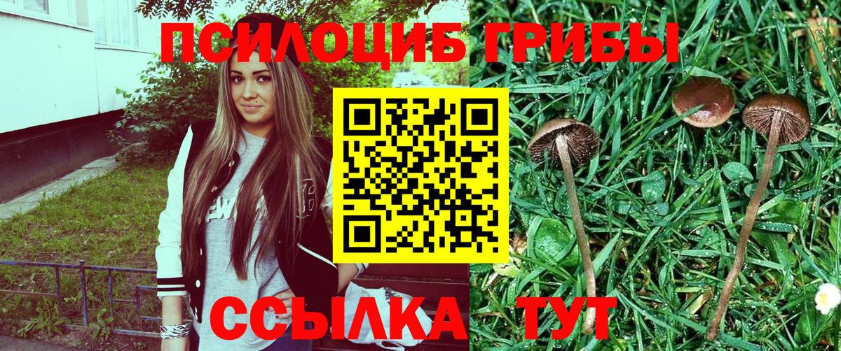 Галлюциногенные грибы GOLDEN TEACHER Вятские Поляны