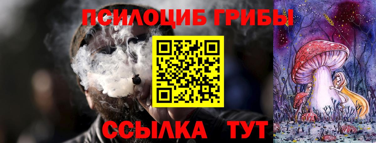 Вятские Поляны  Галлюциногенные грибы MAGIC MUSHROOMS  Вход с VPN 